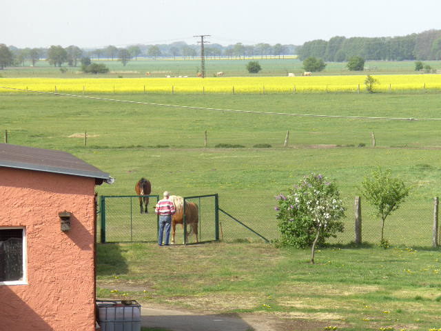 Blick vom Hof